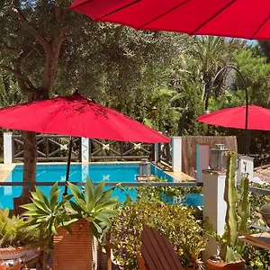 Gasthuis Casa Simba (adults Only), Estepona